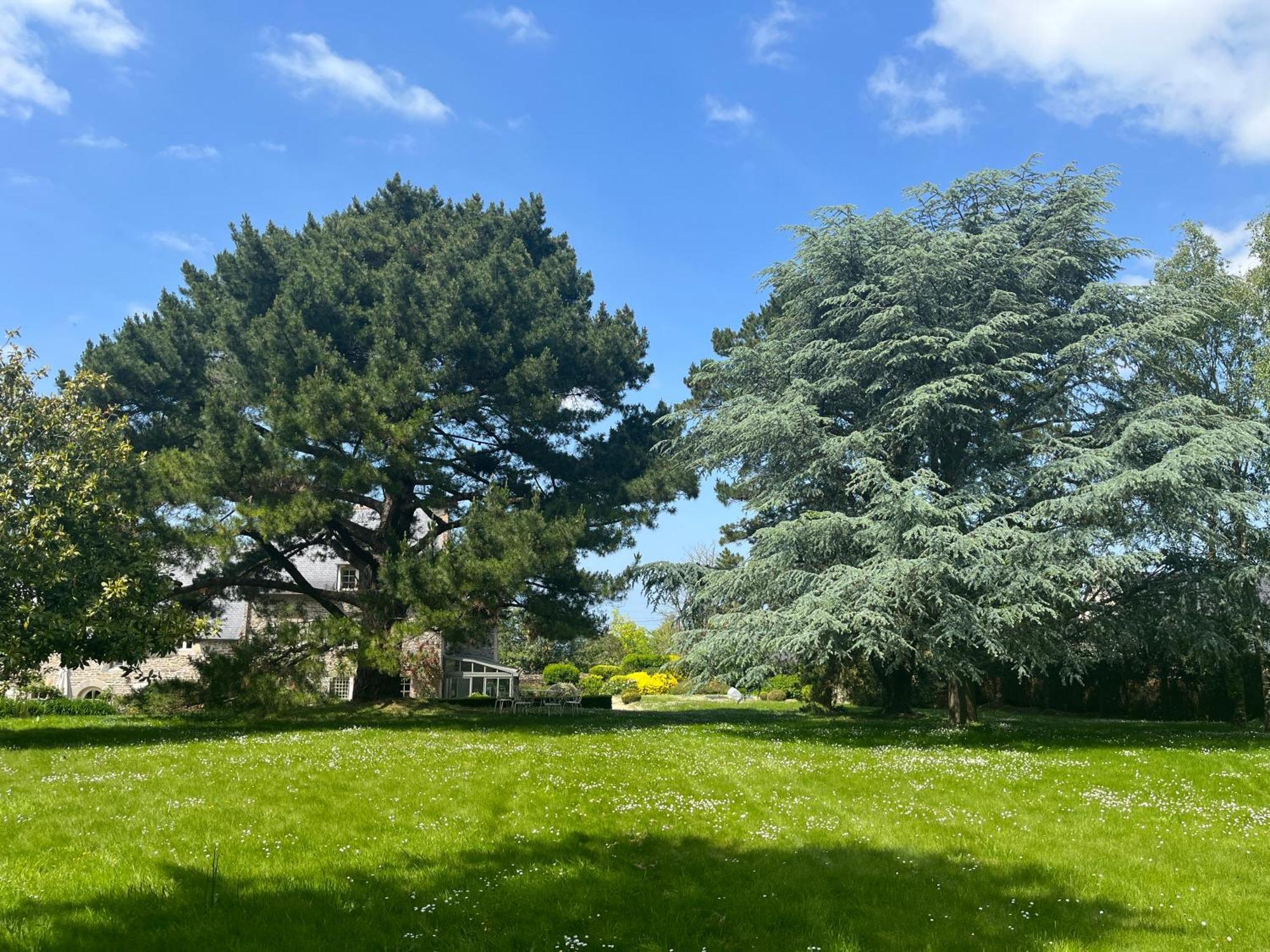 مبيت وإفطار Plouër-sur-Rance Manoir Des Bords De Rance المظهر الخارجي الصورة
