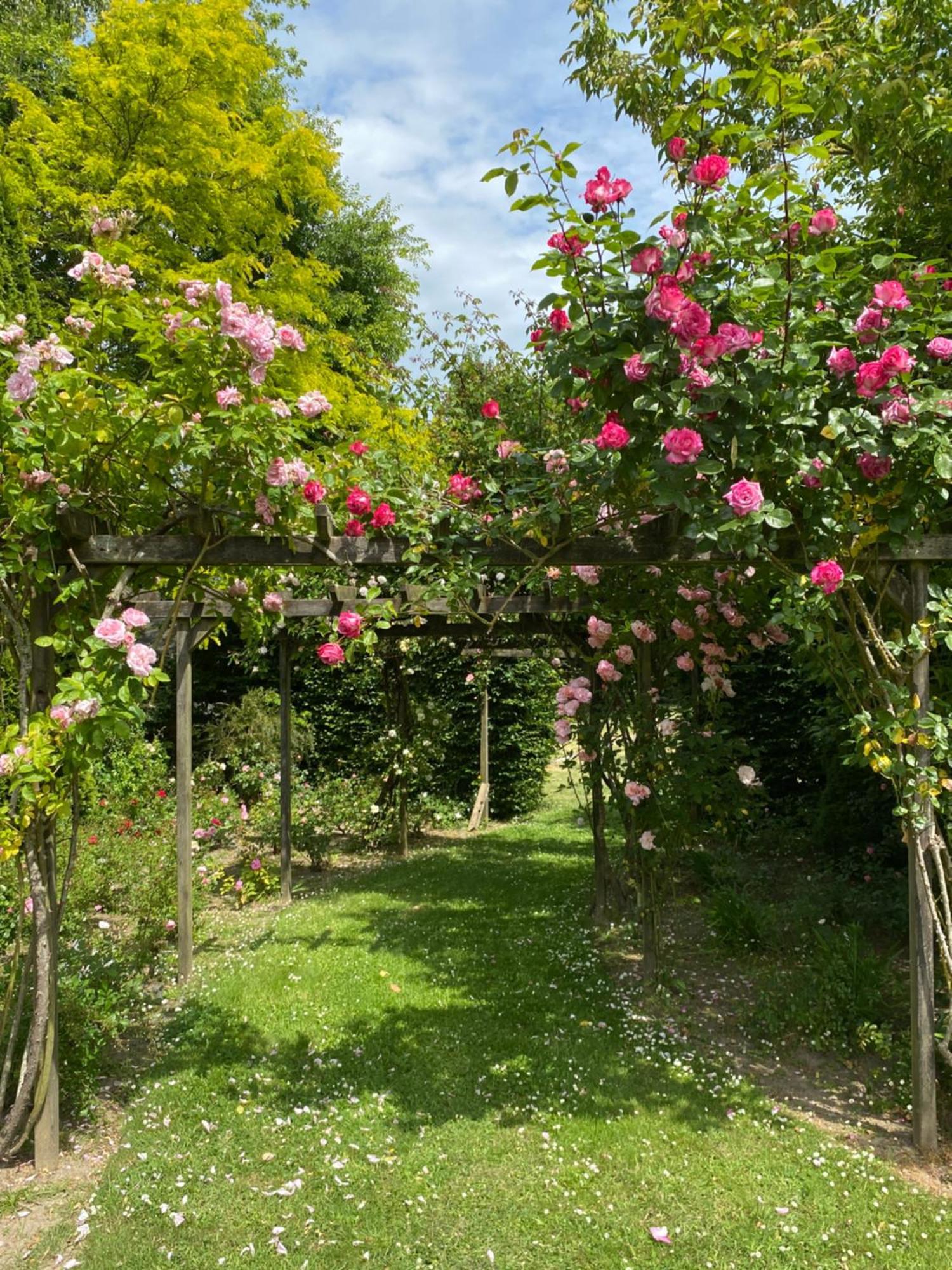 مبيت وإفطار Plouër-sur-Rance Manoir Des Bords De Rance المظهر الخارجي الصورة