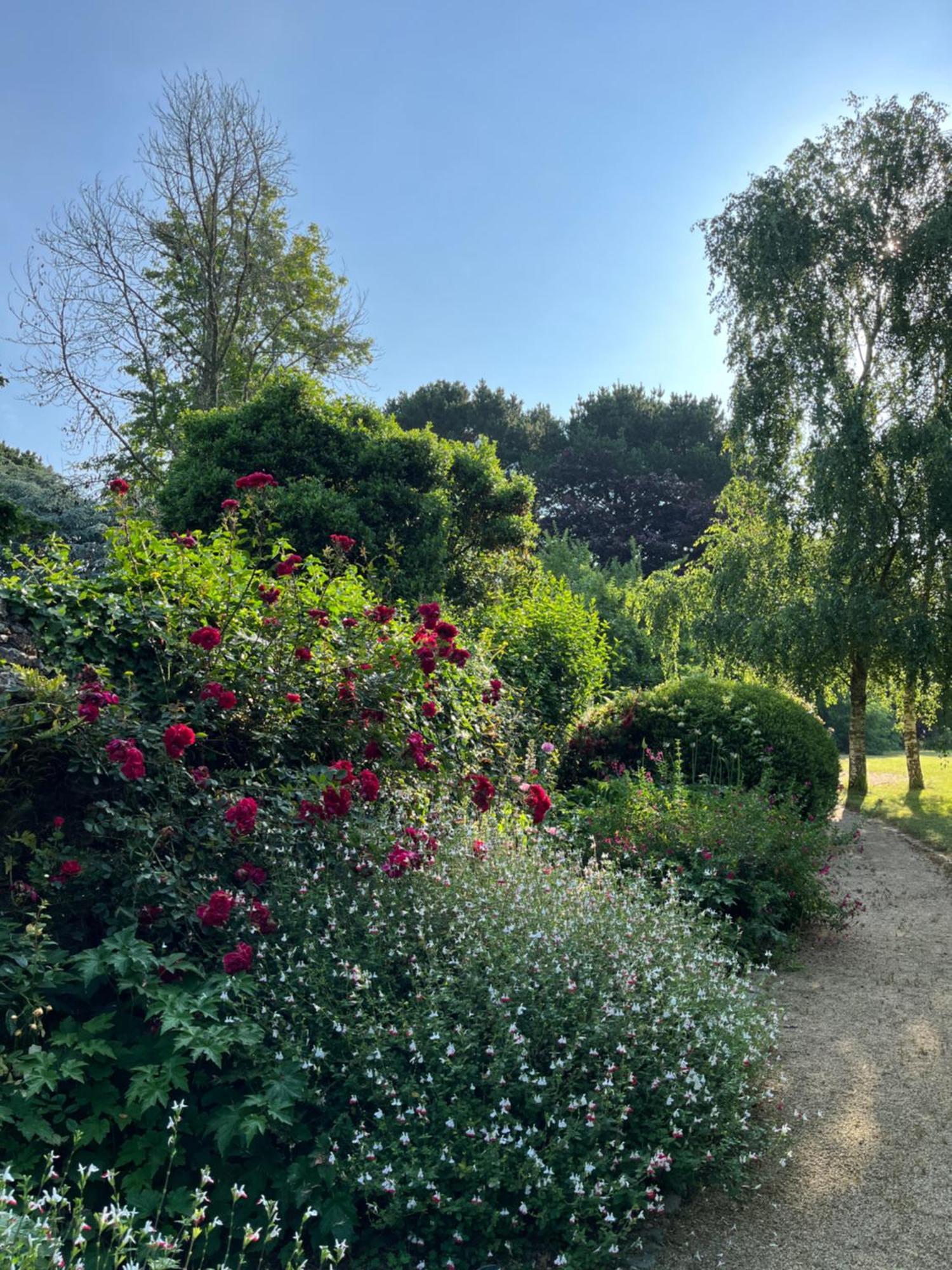 مبيت وإفطار Plouër-sur-Rance Manoir Des Bords De Rance المظهر الخارجي الصورة